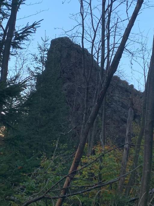 Jermerstein-Haeuschen Braunlage Kültér fotó