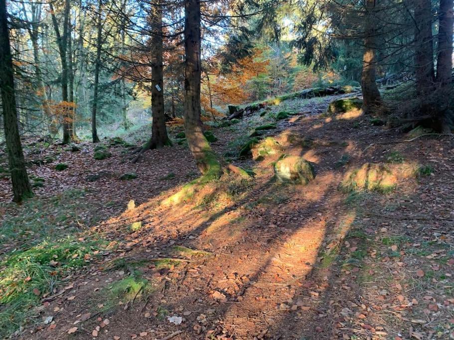 Jermerstein-Haeuschen Braunlage Kültér fotó