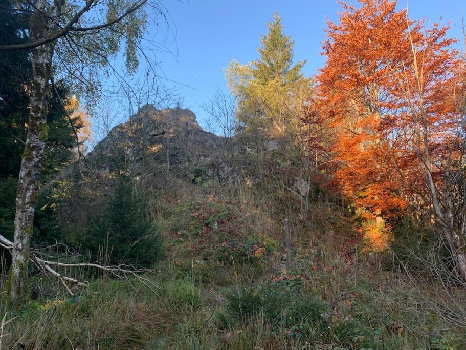 Jermerstein-Haeuschen Braunlage Kültér fotó